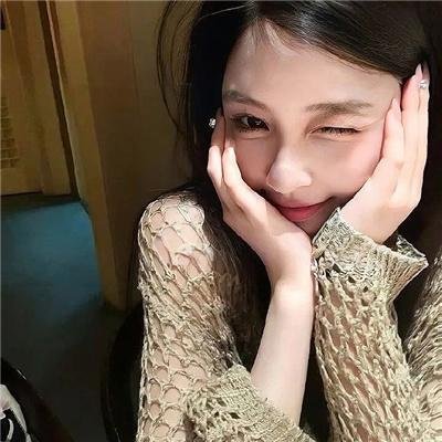 不可思议猫森林